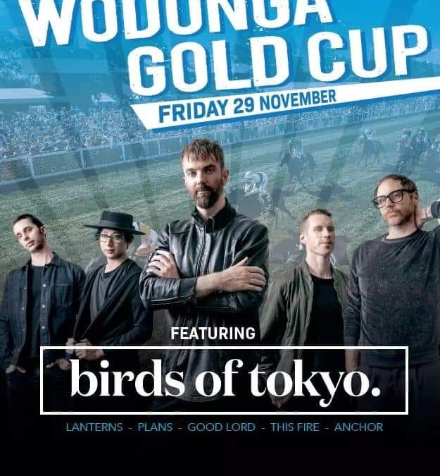 Birds of Tokyo LIVE – Wodonga (VIC)