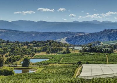 Batlow NSW