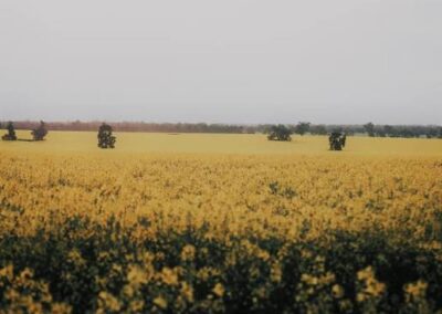 Berrigan NSW