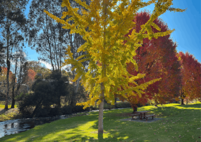 Eskdale VIC