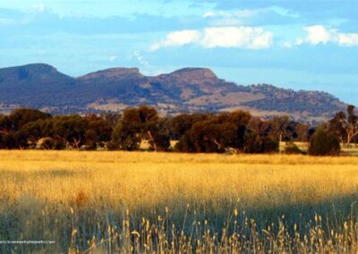 Gerogery NSW