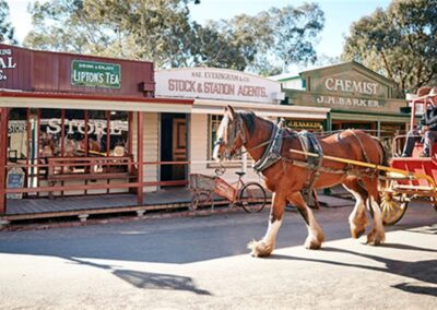 Swan Hill VIC